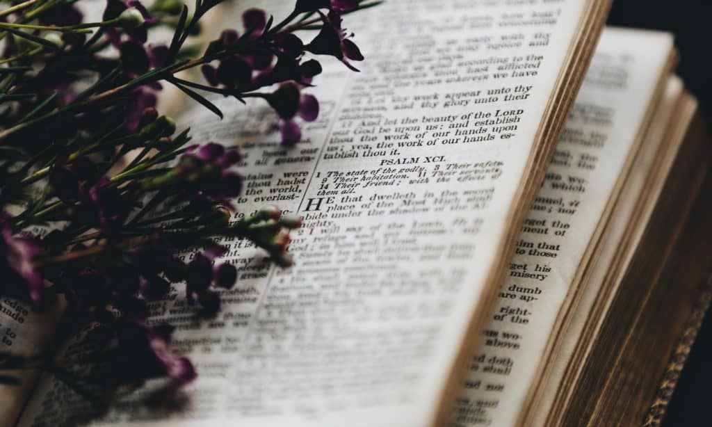 bible in psalms with purple flowers