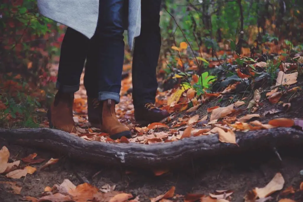 people walking in fall leaves