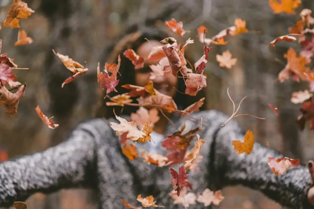 throwing fall leaves