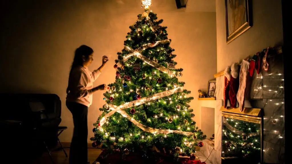 child with christmas tree for stressed or blessed blog