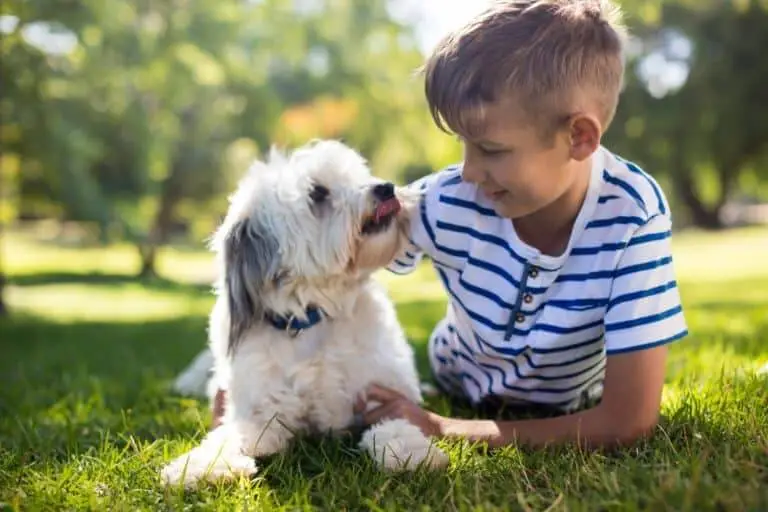 young boy laying next to and looking at small white dog