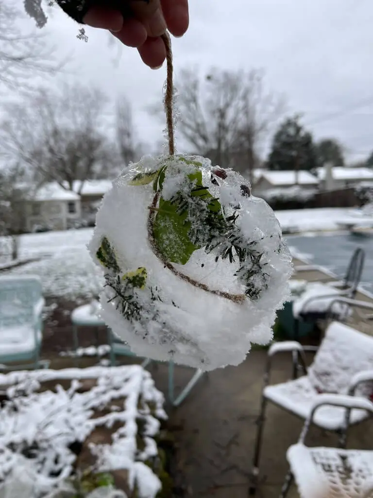 nature ice ornament made with leaves, ice, and sticks