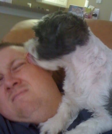 The Impact of a Dog - Prince Chip Harris 12 The Impact of a Dog - Prince Chip Harris 12